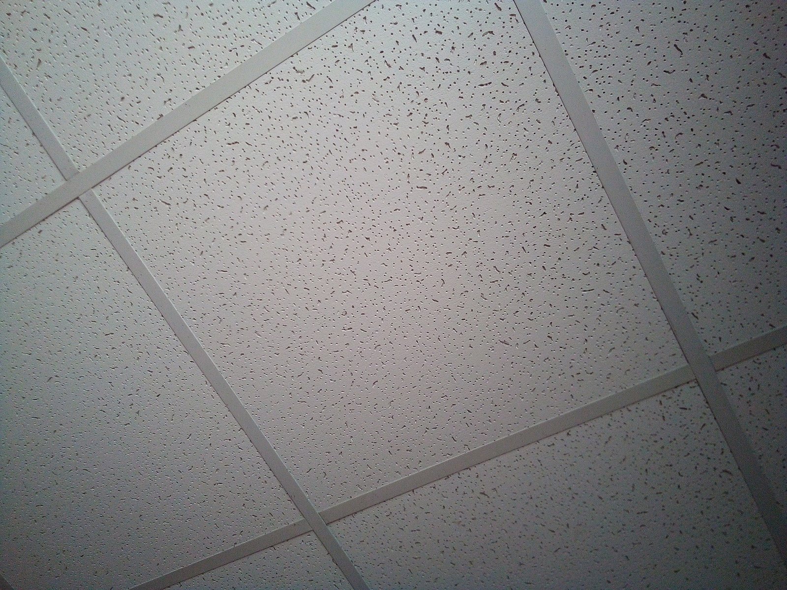 False ceiling decorative plates. Construction of a false ceiling in the office